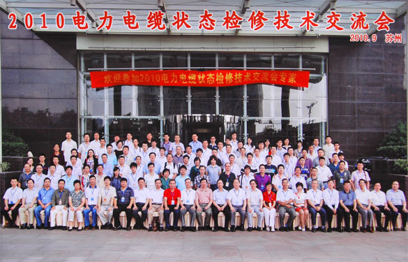 必发加入2010年电力电缆状态磨练手艺交流会