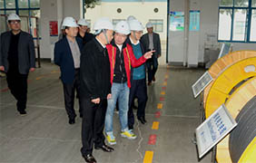2015年11月22日，，，，，，郎溪县党政代表团一行来必发电缆旅行考察