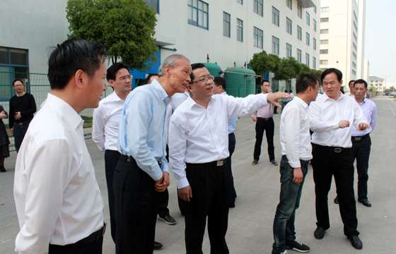 常州市市长丁纯来必发电缆督查新能源项目建设