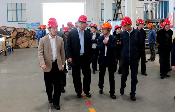 常州市副市长李小平一行来必发电缆考察