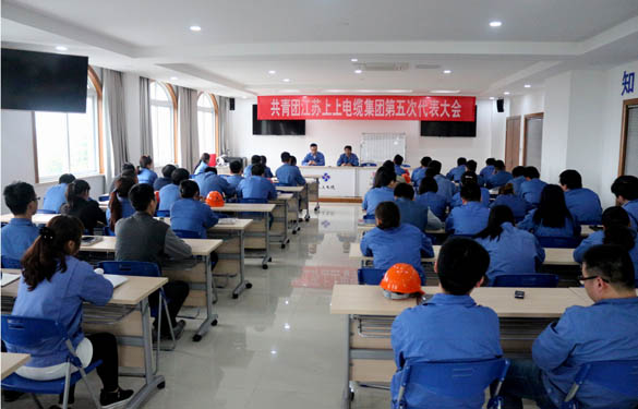 2016年4月20日，，，，共青团必发第五次代表大会召开