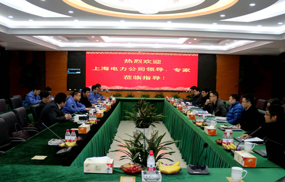 上海电力公司、上缆所向导、专家一行来必发电缆交流考察