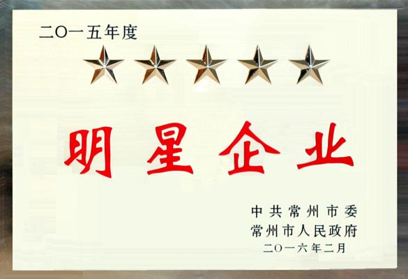 必发电缆在常州市“重大项目推进年”发动大会上再次载誉而归