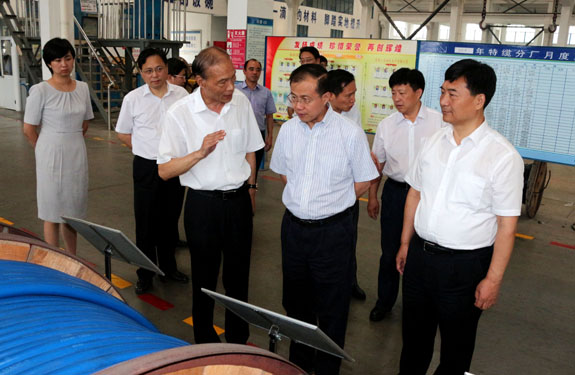 江苏省副省长傅自应来必发集团视察