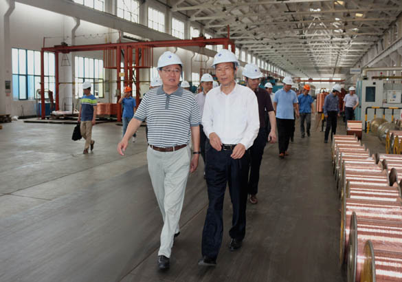 中国恒天集团董事长张杰一行来必发电缆旅行考察