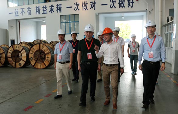 靖江市、溧阳市青商会齐聚必发电缆旅行交流