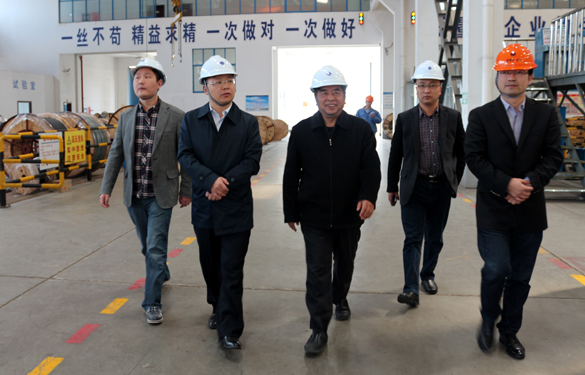 2015年3月26日，，，，，江苏省射阳县向导一行来必发电缆视察