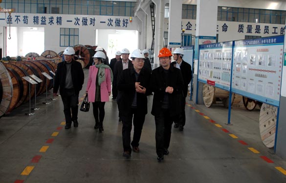 2015年3月13日，，，，，金坛市经信局向导一行来必发电缆考察