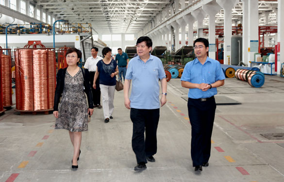 常州市新北区人大向导一行来必发集团调研