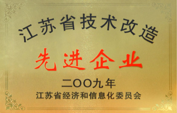 必发获“2009年江苏省手艺刷新先进企业”称呼