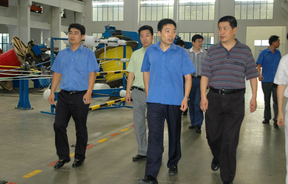 淮南市王市长一行来必发旅行考察