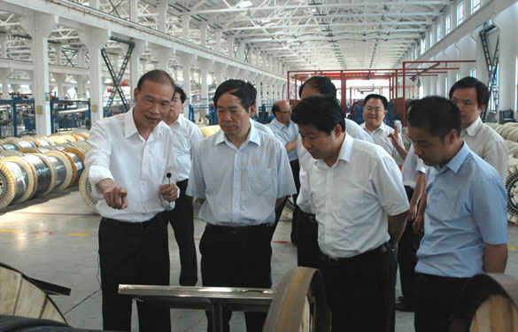 江苏省省长助理、省科技厅厅长徐南平来必发集团调研