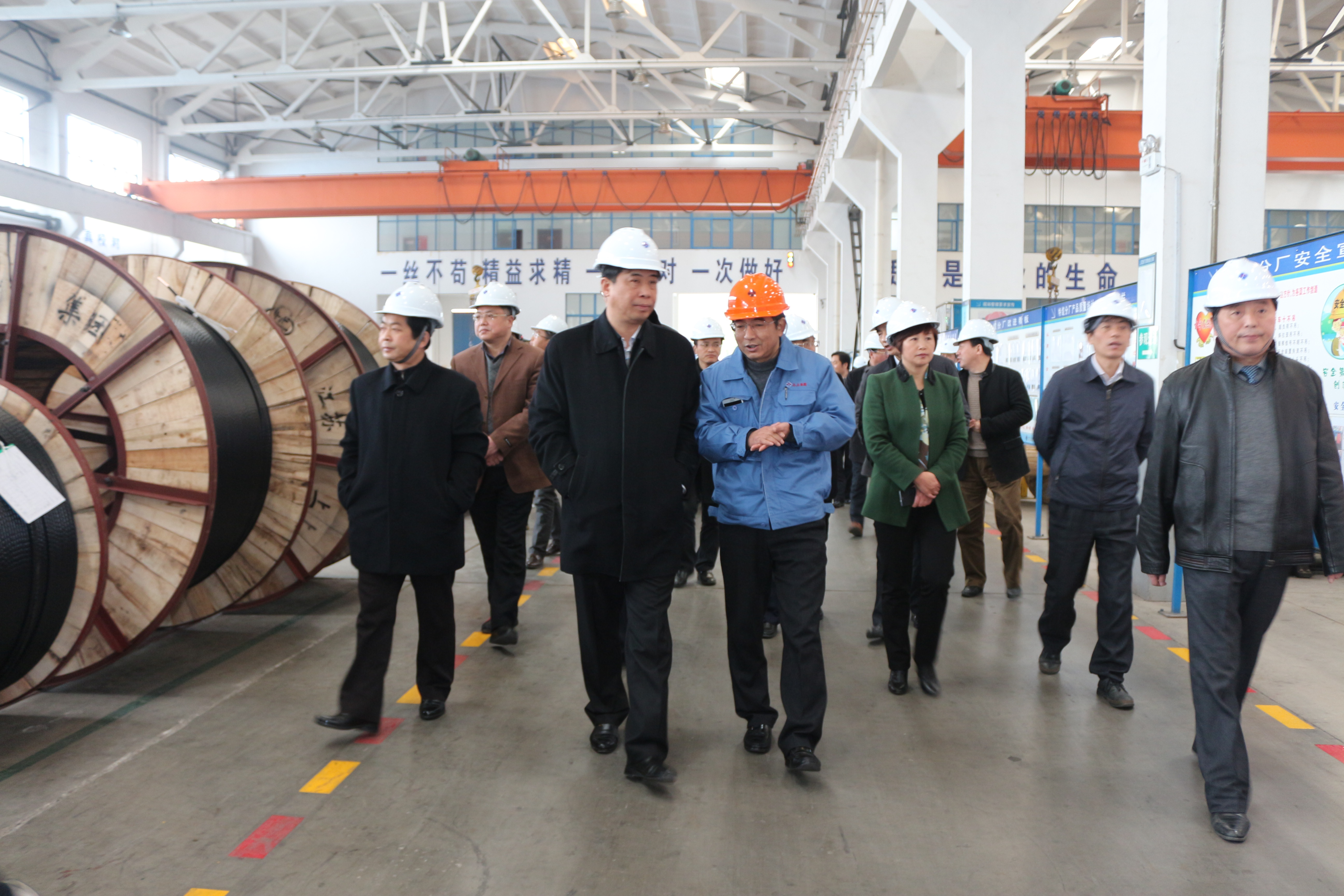 2015年3月11日，，，，安徽省和县党政代表团一行来必发电缆考察