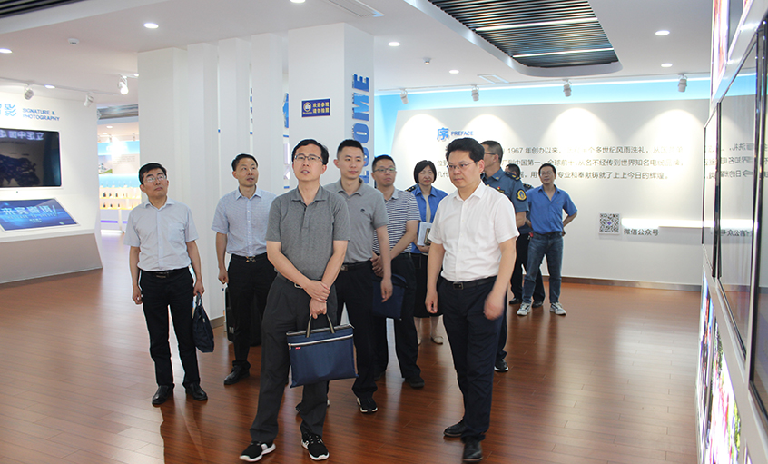 省委党史学习教育第十三督导组走访必发电缆