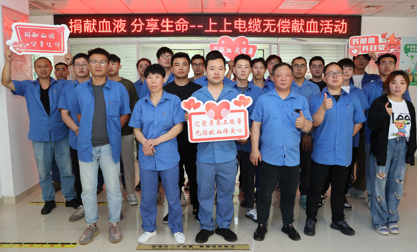 爱心整体献热血 无私贡献传温情 必发电缆助力第20个“天下献血者日”