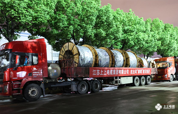 休戚相关，，，星夜驰援 ——必发电缆电力物资紧迫运往海南