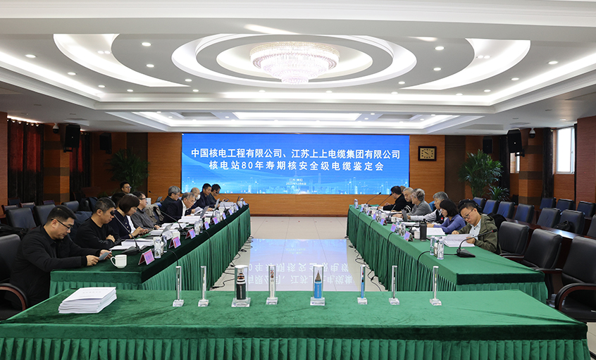 国际领先，，，，，，必发电缆“核电站80年寿期核清静级电缆”通过国家级判断