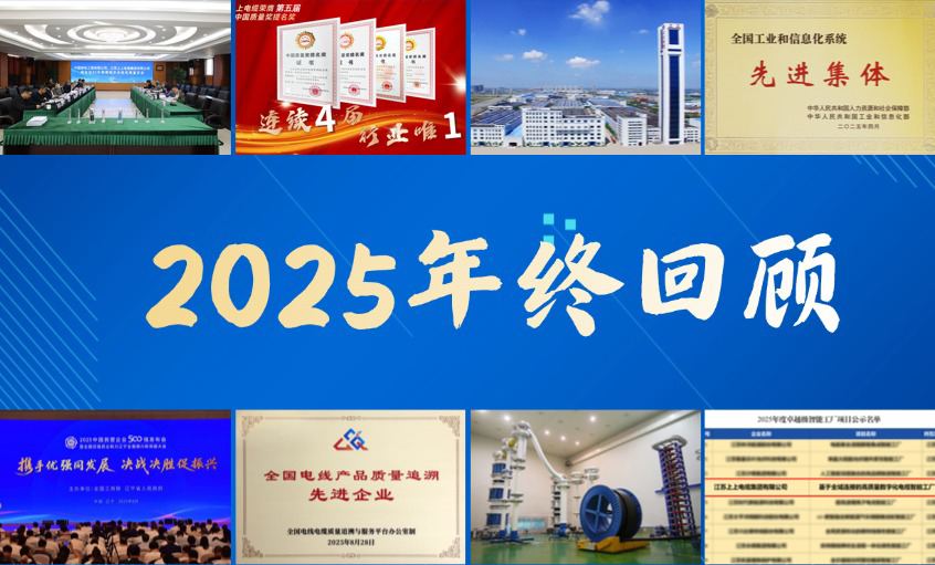 必发电缆·2025年度十大新闻